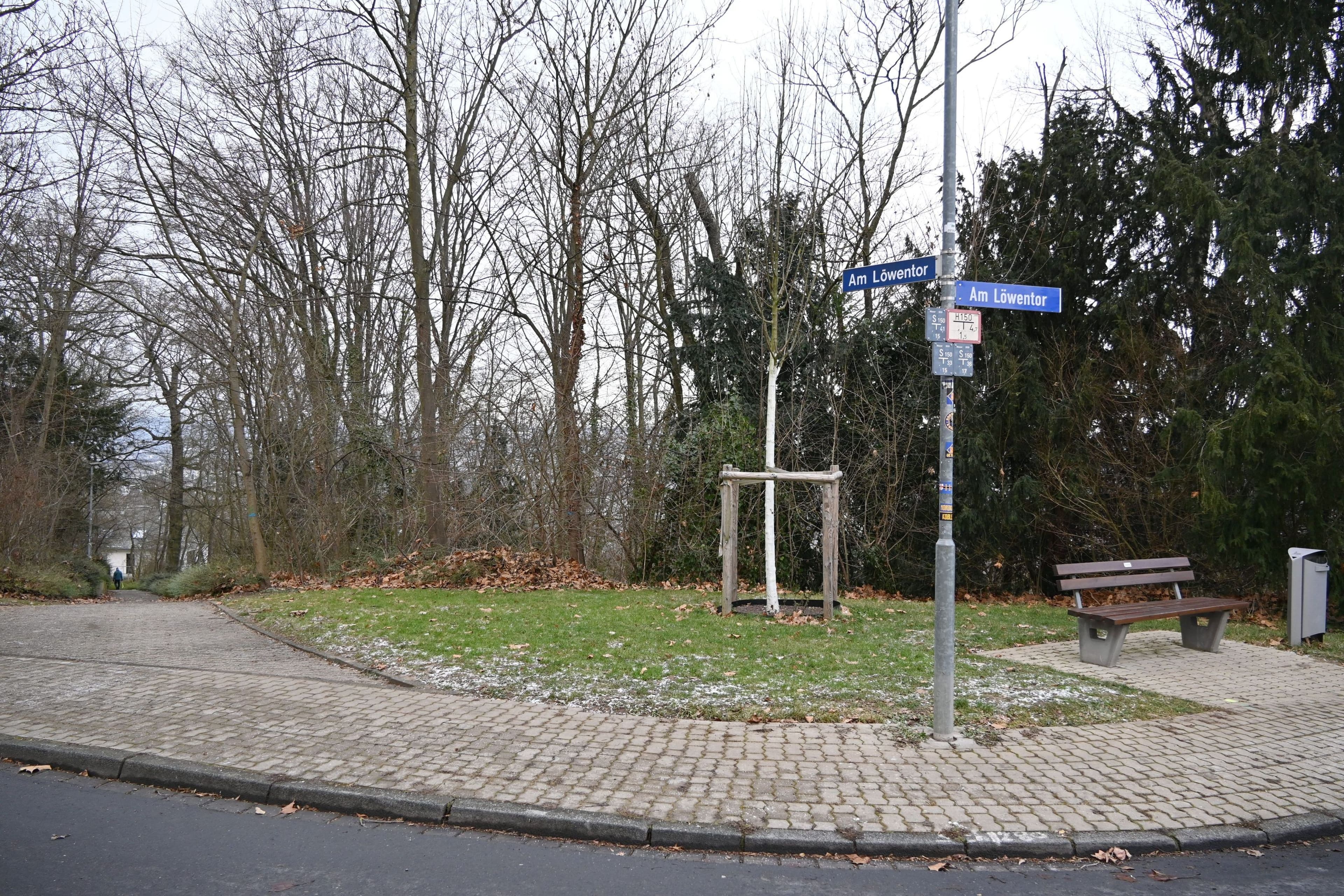 Gehölzpflege am Löwentor startet bald
