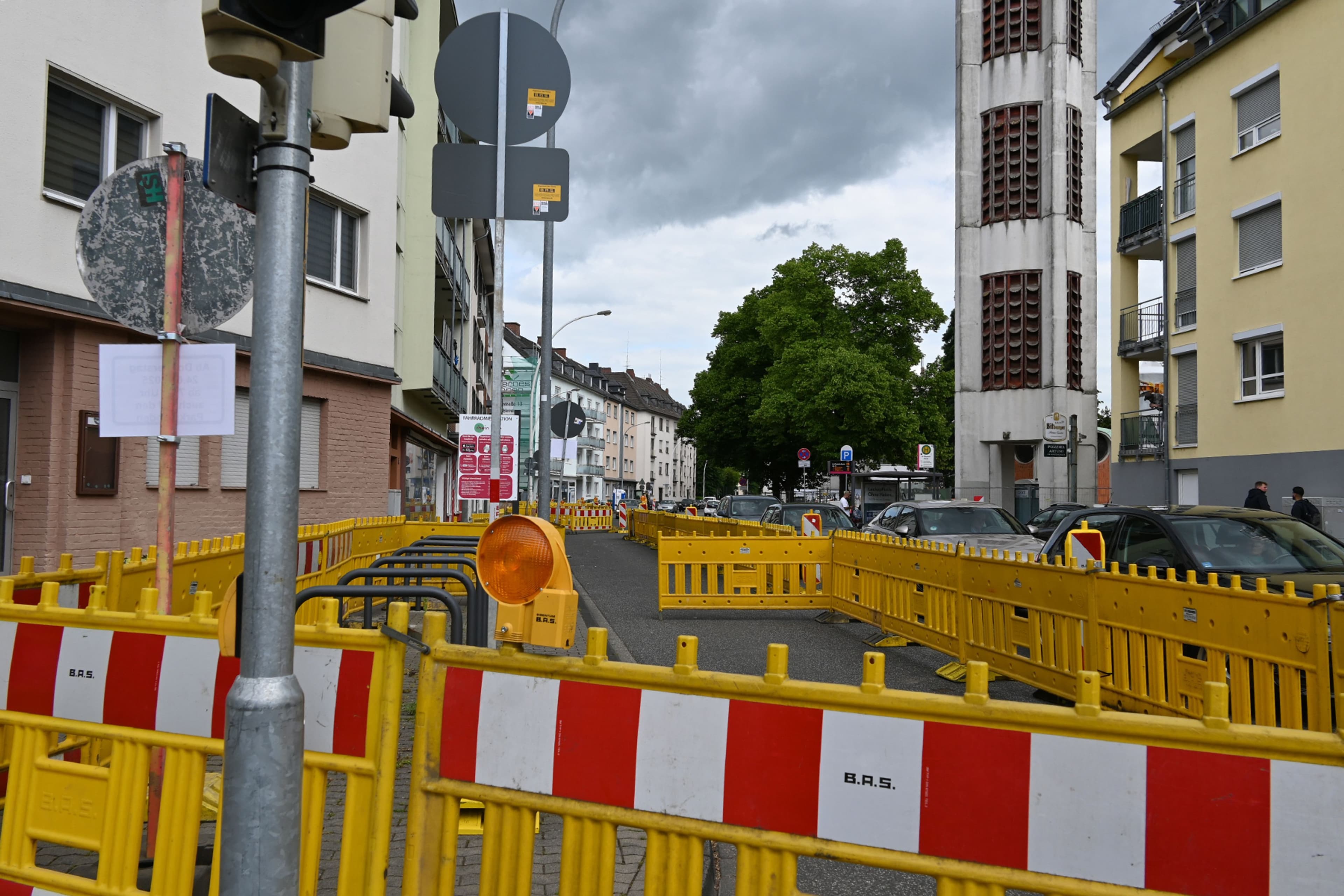 Neue Bäume in Koblenz-Rauental