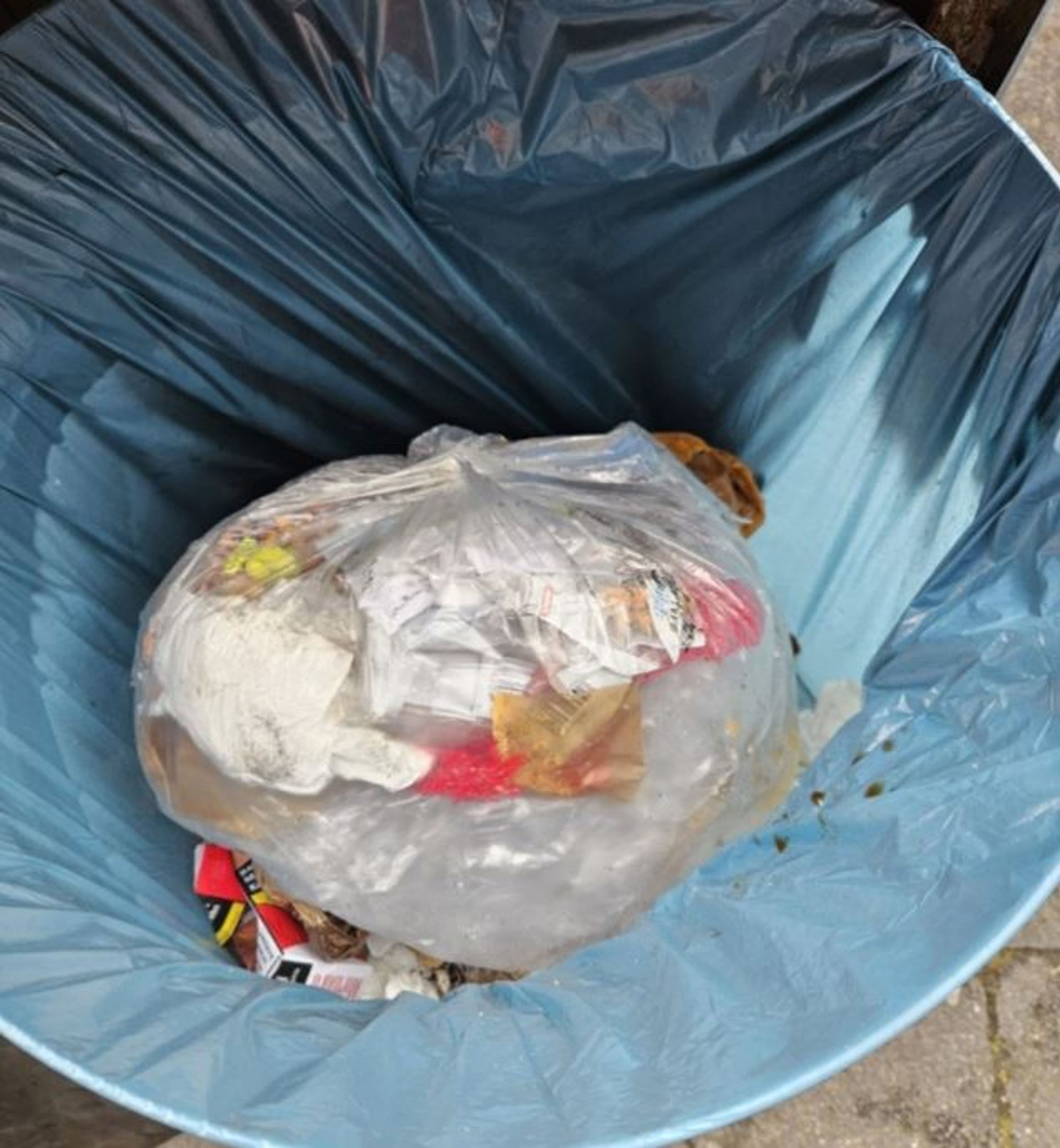Überfüllte Müllbehälter in Kaiserslautern: Was steckt dahinter?