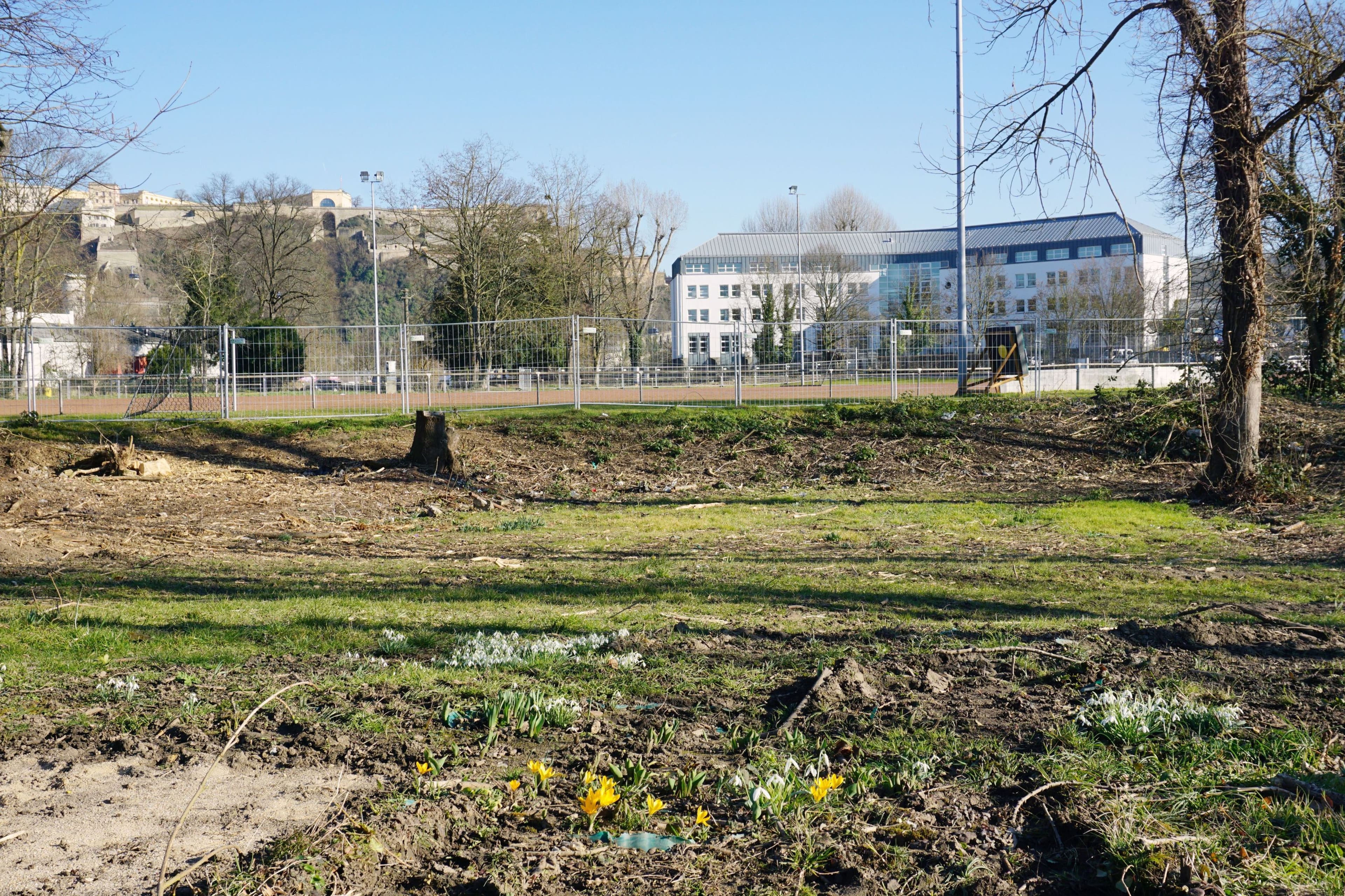 Uferpark Lützel: Der Bau beginnt bald!
