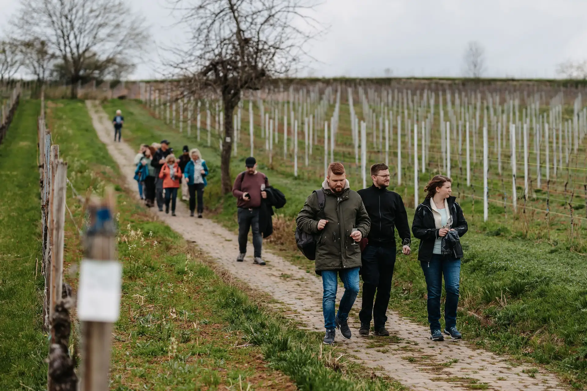 Weinliebhaber aufgepasst: Bad Dürkheim startet neue Genussreise!